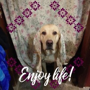 Meet your Posher, Jodi